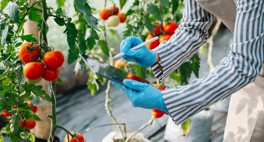 LEDSMART1's tweet photo. By combining blue, red, and far-red wavelengths, professional growers can achieve superior flavor, stable plant structure, and energy-efficient performance in greenhouse and vertical farming operations.
Learn more : https://t.co/PGBDzpnuqb
#TomatoGrowLights #LEDGrowLighting https://t.co/CRNfkgn05c