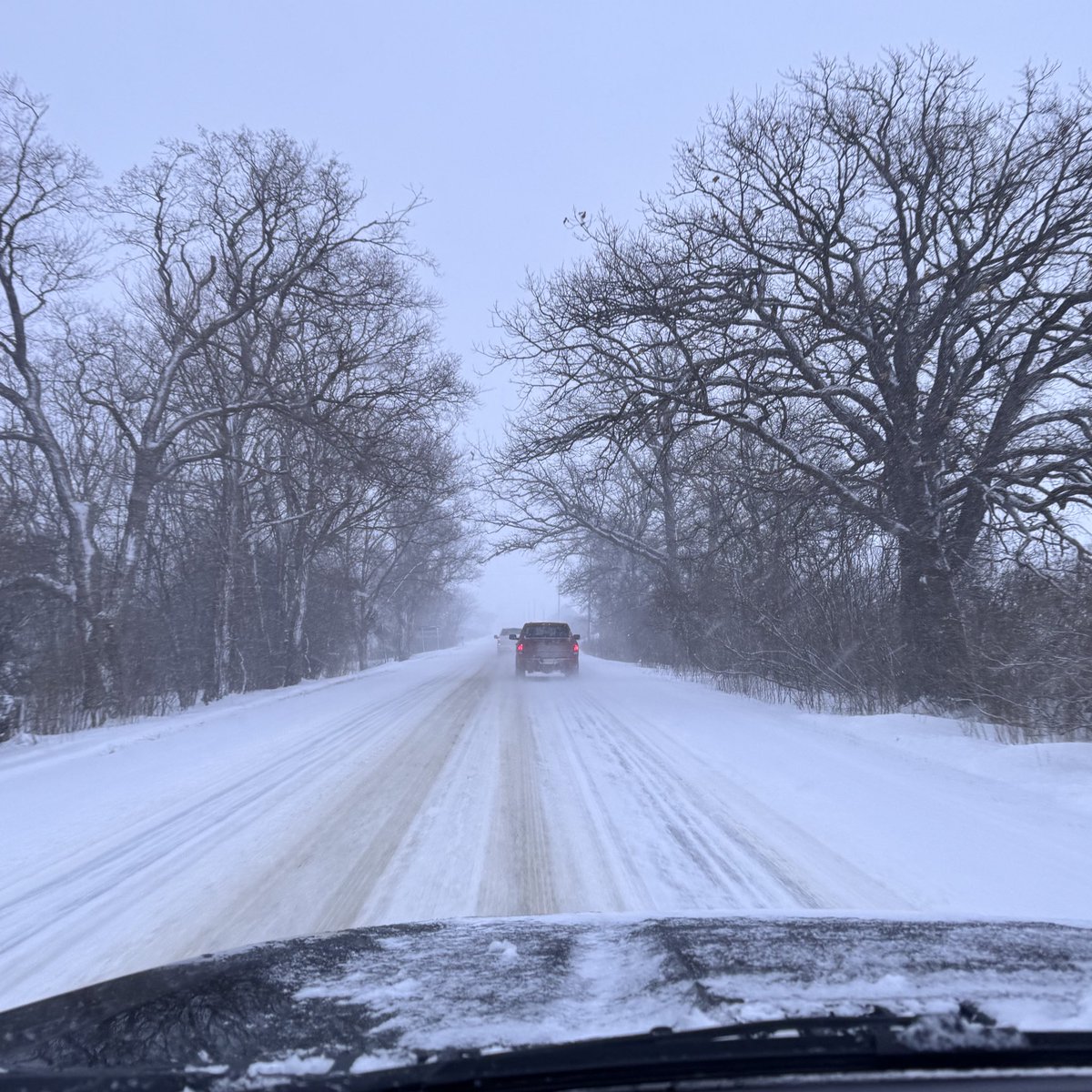 raptured by beauty even in dead winter