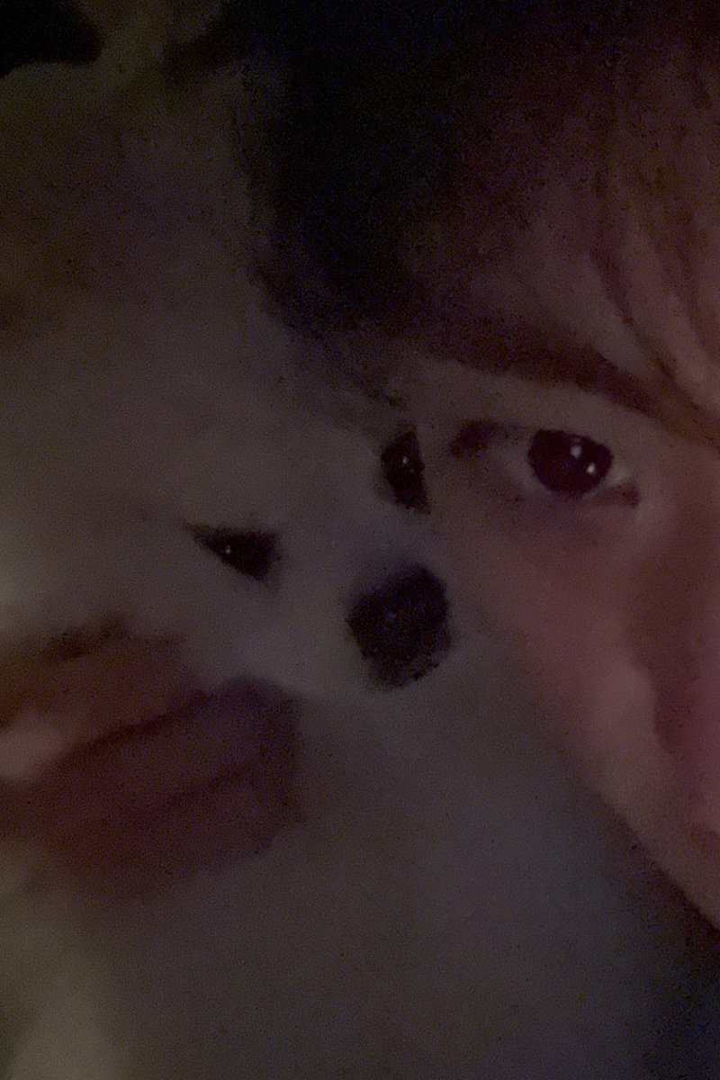 wonjjangiz's tweet image. 260122 #박원빈 berriz update

🐧: a day when i miss tteokgukie.. i want to play while giving snacks.. i want to hold their little paws.. i want to talk together.. i want to be together.. i want to go for a walk together.. i want to just zone out together.. you’re doing well,…