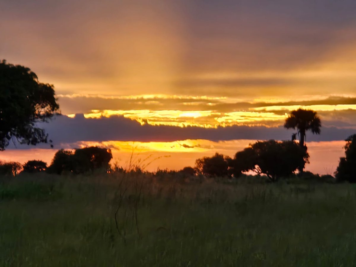 MichaelTshi's tweet photo. Ce matin à Kashobwe, les rayons du soleil nous rappellent une vérité simple, là où il y a de l’amour, il y a de la lumière. https://t.co/yH1ioodmRV
