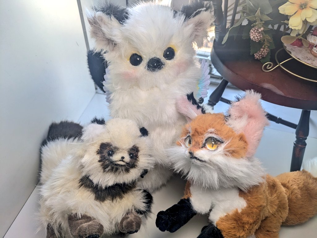 可愛いの集い(◜¬◝ )