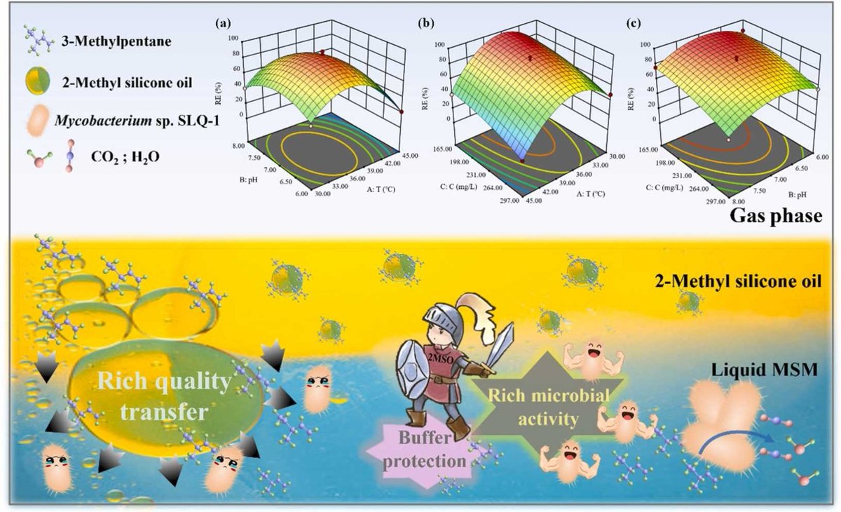 New paper accepted at Biochemical Engineering Journal

Take a look at:

A first newly isolated strain capable of effectively degrading 3-methylpentane: Identification, degradation characteristics and pathway analysis

…-microalgaeresearchgroup.blogspot.com/2026/01/blog-p…