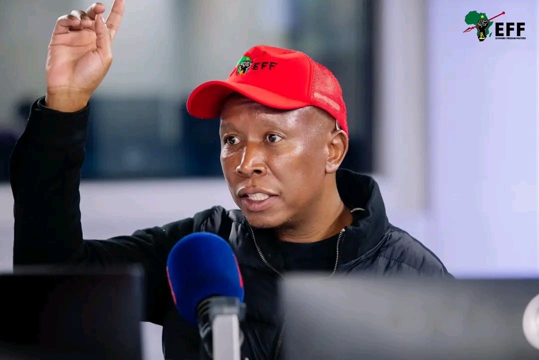 neoruthlessbk's tweet photo. #HandsOffCIC #HandsOffMalema 
❤️🖤💚 https://t.co/szEm4n0MY7