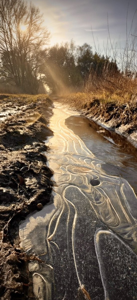 Rene Runningman tweet media