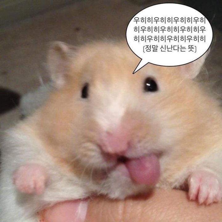 yato_0315's tweet photo. 와밥방금밥다먹엇는데이거보고나지금배터짐아니이게뭐에요진짜구라안치고느비예트얼굴에서빛나서나지금야밤에손전등킨기분이에요이런개맛도리그림을제가무료로퍼먹을수잇다니내가이렇게살아잇는이유가다정이의그림을퍼먹기위해서라는것을깨달았어요. https://t.co/Pe9zODDd55