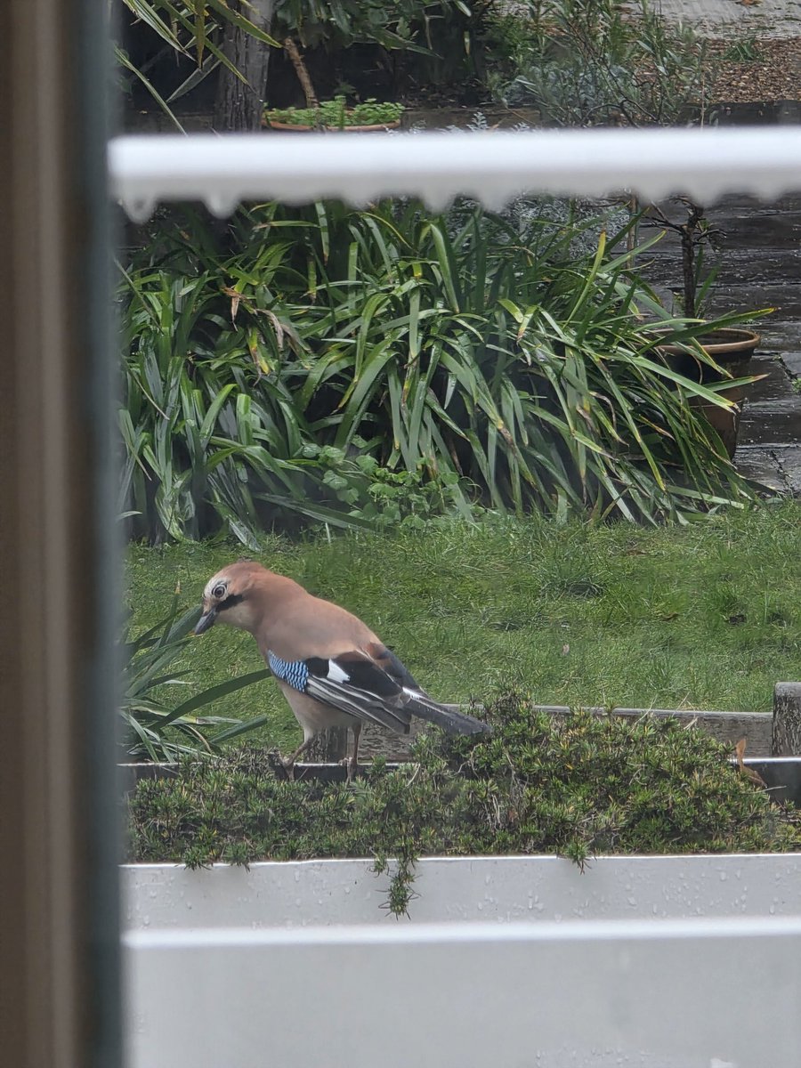 Kate Griffiths-Lambeth tweet media