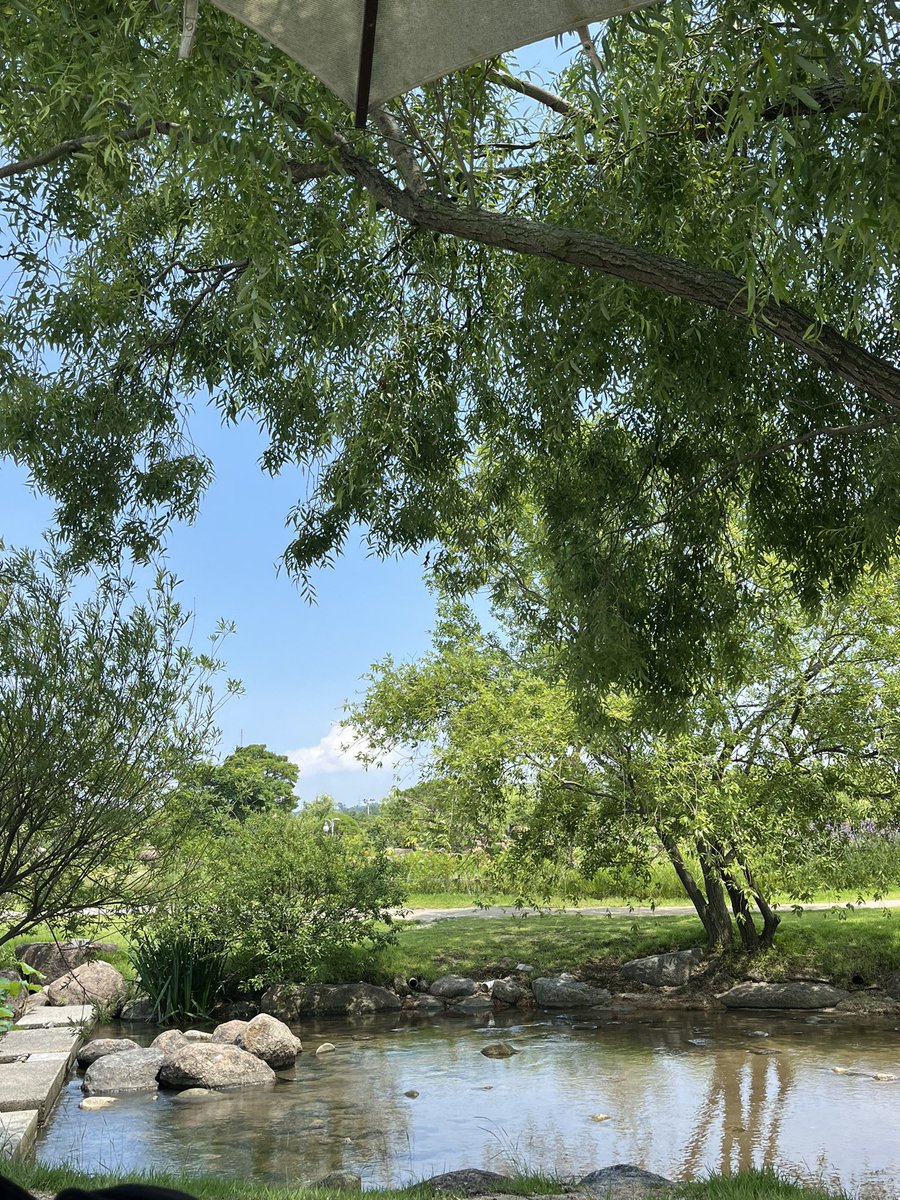 🎞️필름 tweet media