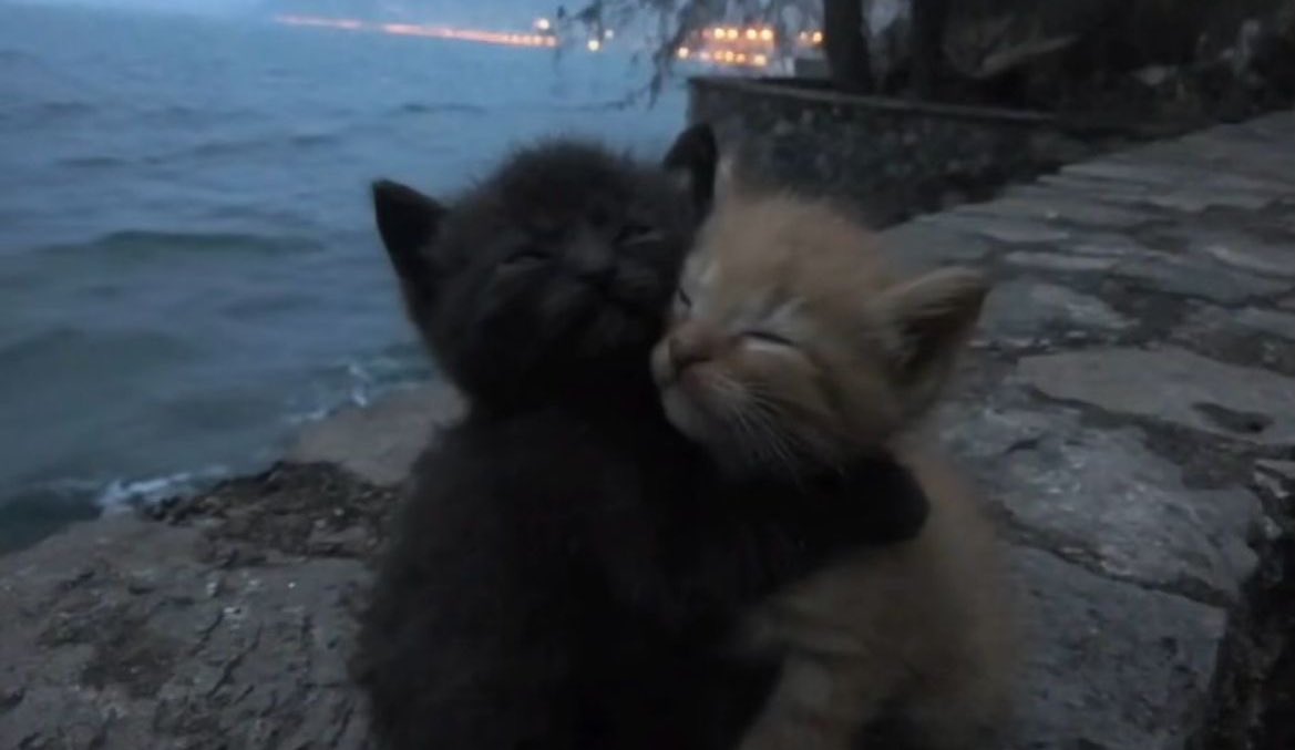 Athena8i's tweet image. 