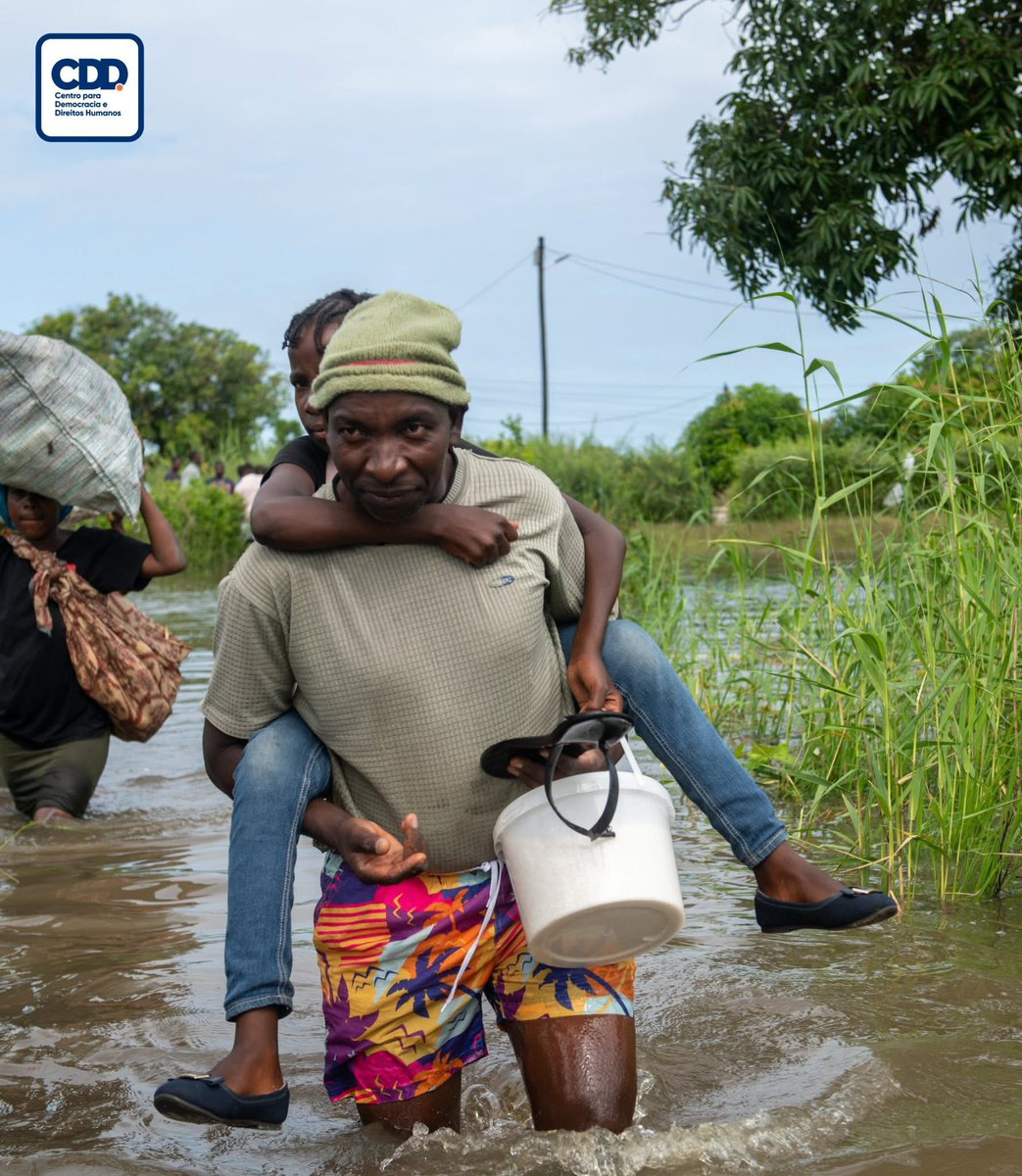 Zenaida Machado tweet media