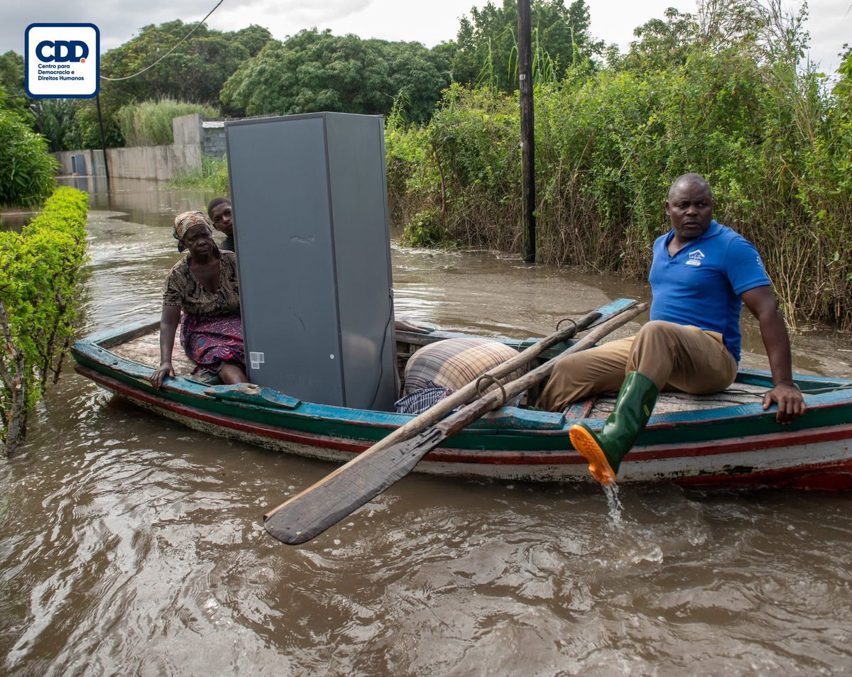 Zenaida Machado tweet media