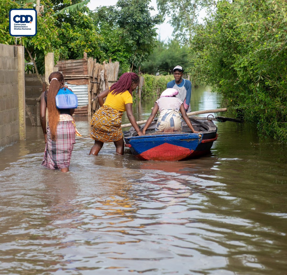 Zenaida Machado tweet media