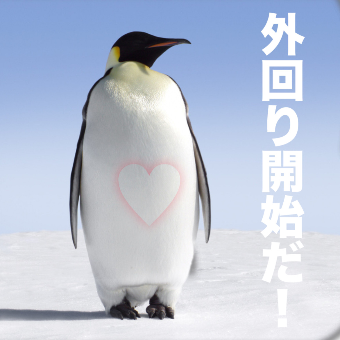 blownova_elsol's tweet image. おはようノヴァいます！

1月23日。
今日は「電子メールの日」だそうです📩
想いを届ける、つながる、
そんなことを大切にする日ですね。

さてさて――
明日はファスペン大会！
令和のKOFのごとく、3人1チームで挑みます。

我らのチーム構成は

羊！
幽霊！
営業マン！

その名も………