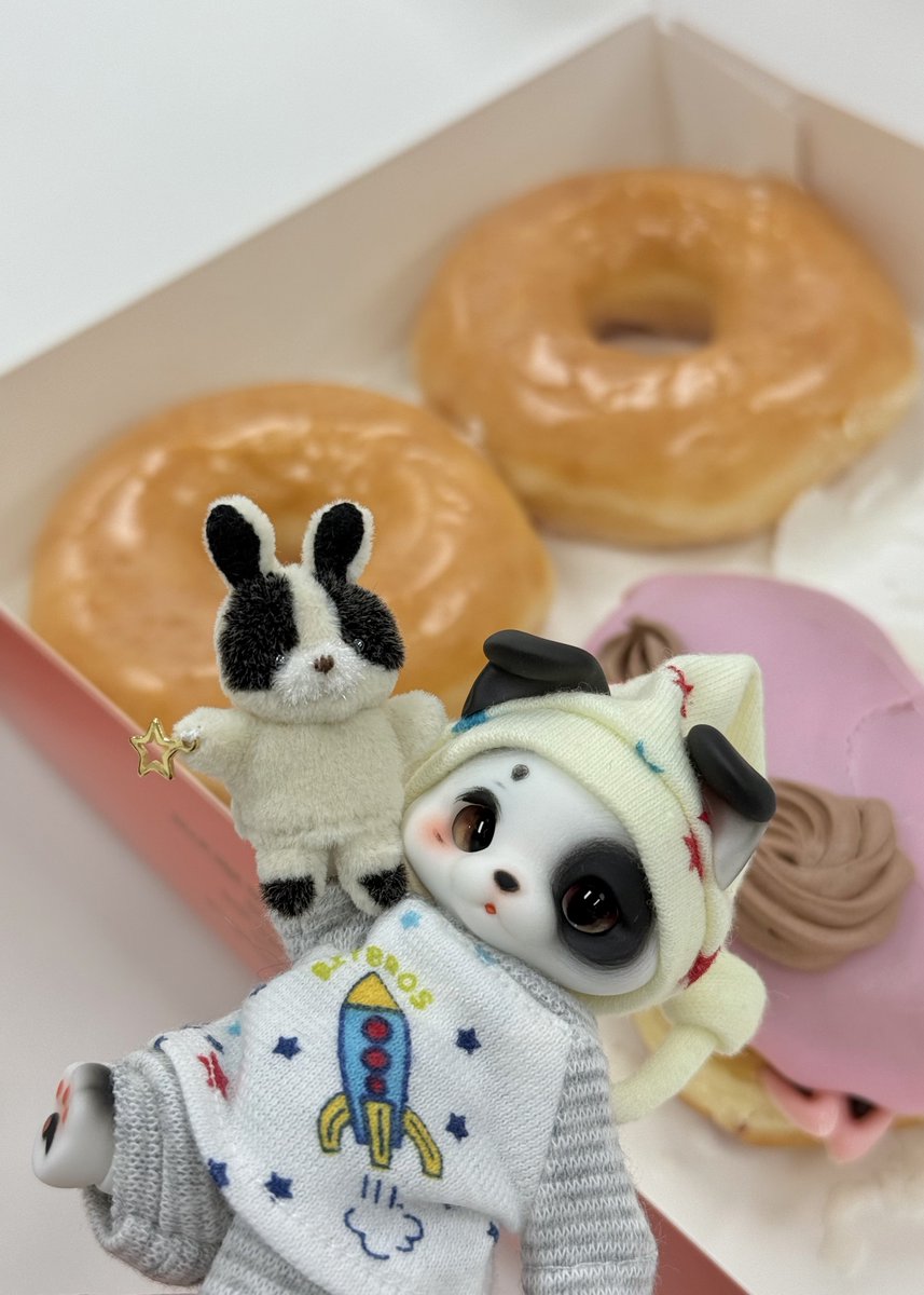 🍩🍩🍩
#kumukuku