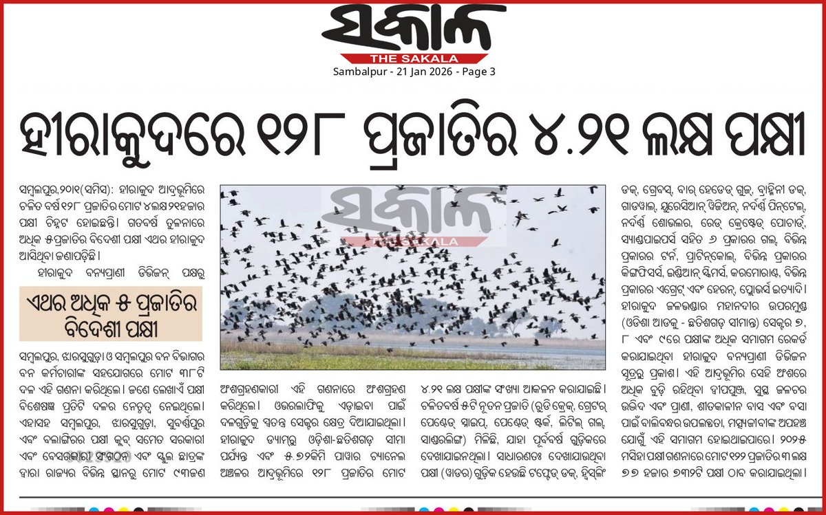The Sakala, 21.01.2026
Hirakud Bird Census (Sambalpur) : A total number af 4.21lakh birds belonging to 128 species were estimated in the Hirakud Wetland area of about 550 Sq. Km. New 5 species of birds spotted. <a href="/CMO_Odisha/">CMO Odisha</a> <a href="/dpradhanbjp/">Dharmendra Pradhan</a> <a href="/DmSambalpur/">DM Sambalpur</a>
