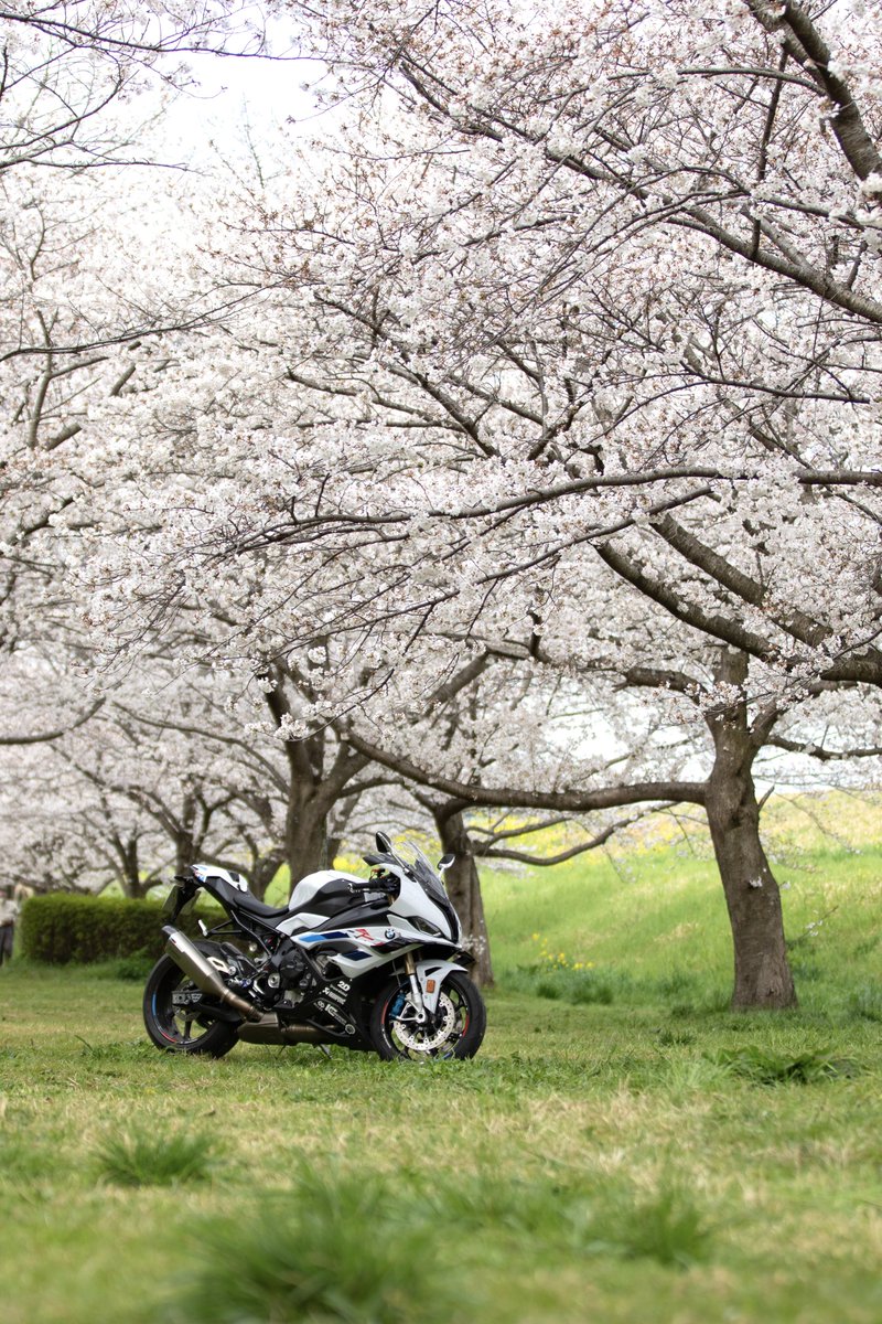 ゆうのアオーリオ🍏 (@MarinosZX4RR) / Posts / X