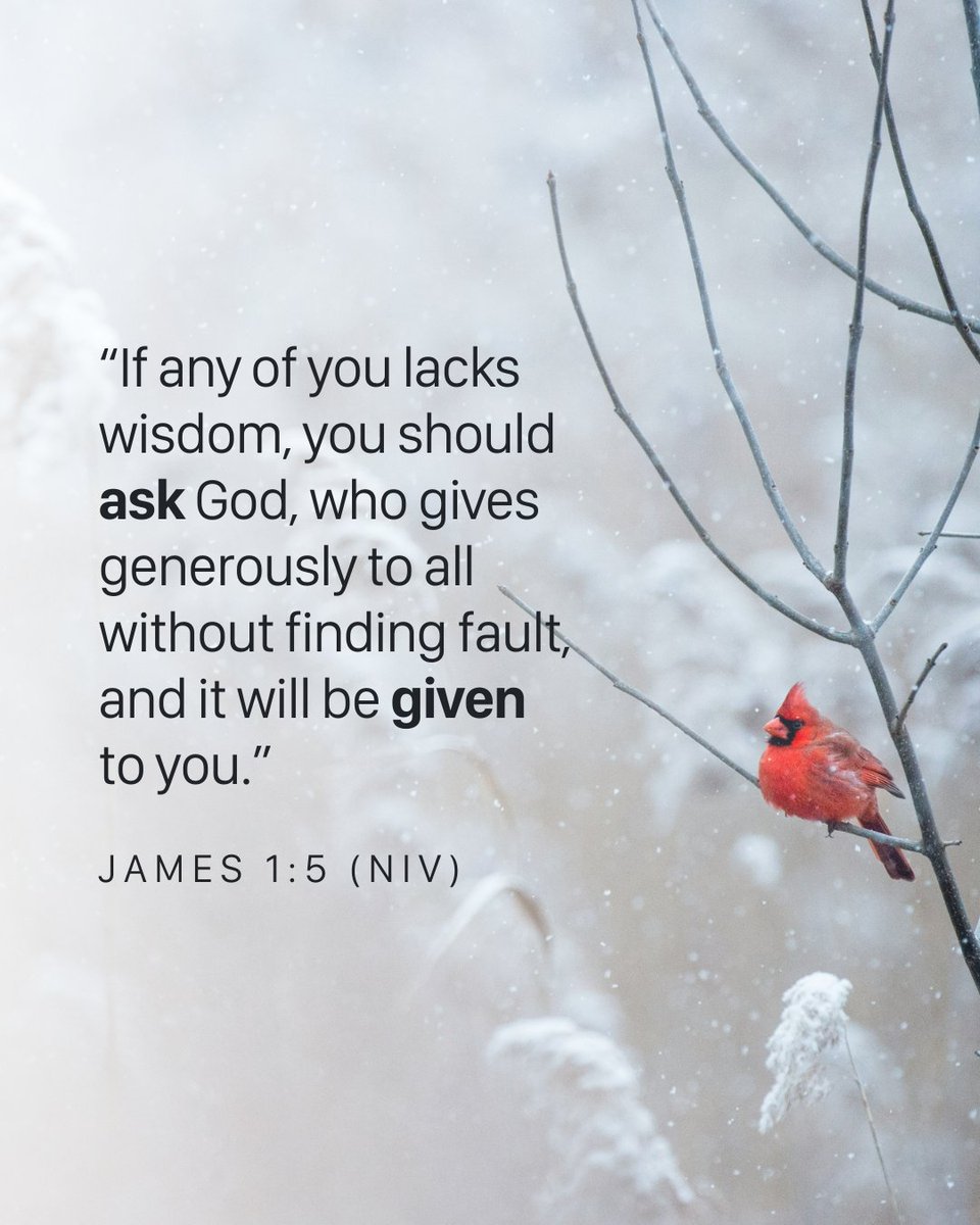 biblegateway's tweet image. Need wisdom today?

James 1:5 reminds us we can ask God—and trust that He gives generously.

Read and reflect here: bit.ly/3Lyk1i8