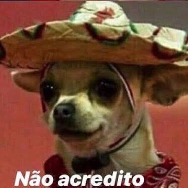 Toda hora eu vou rever o vídeo e tenho a msm reação