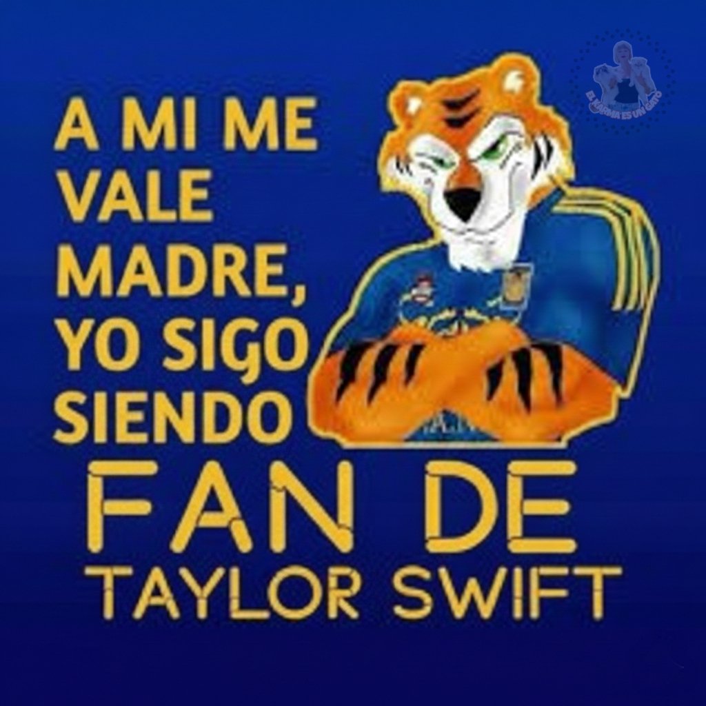 KarmaIsACat_5's tweet image. yo luego de leer el contexto de la funa de taylor swift: