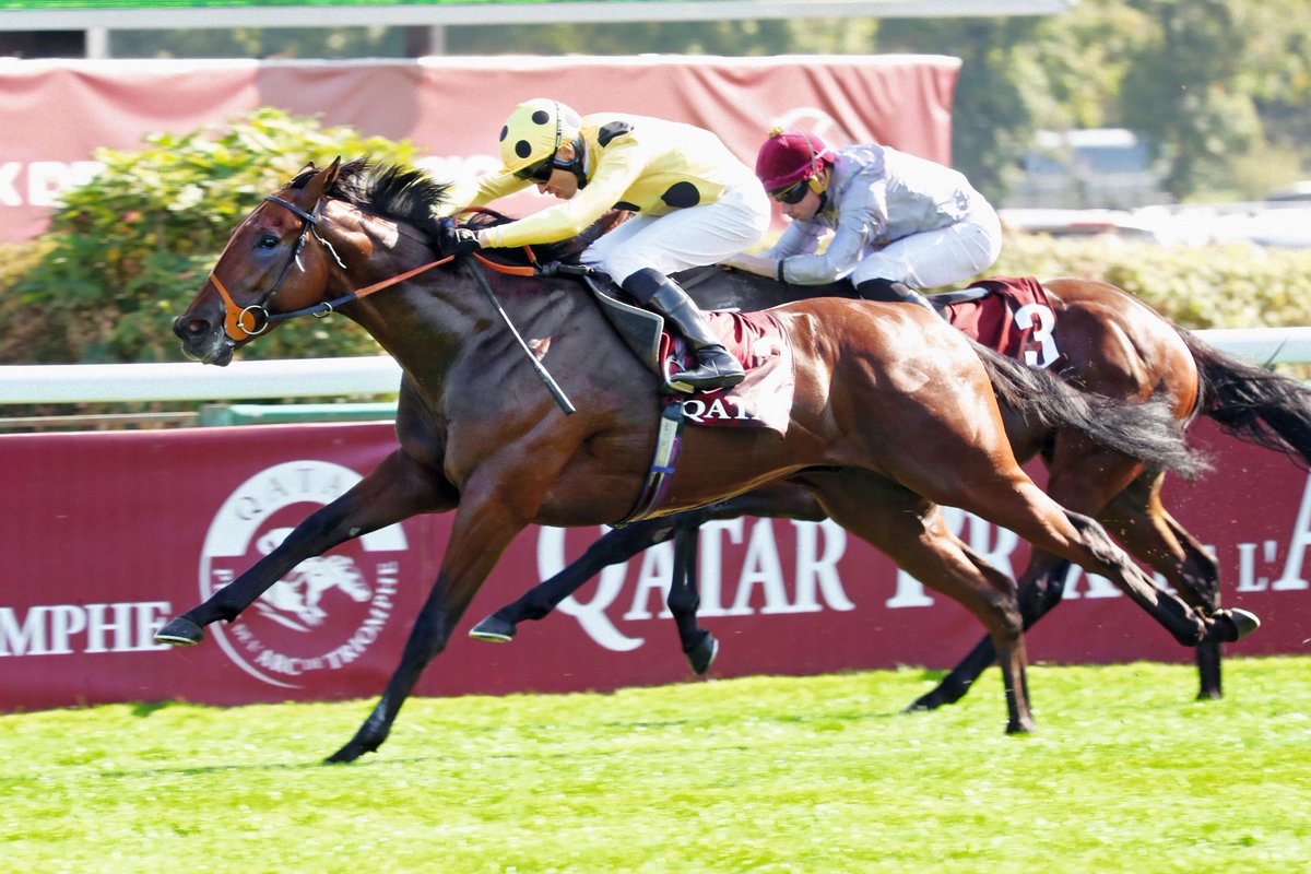 DarleyEurope's tweet photo. 🗣️"Darley's latest intake of stallions unsurprisingly arrive with depth, quality, and pedigree firepower" Mary-Jo Jackson, Racing Post
🇮🇪🇬🇧 Read more about Darley's exciting new trio of stallions #Rosallion, #Inisherin, and #ShadowOfLight in @rpbloodstock's latest New Sires supplement📖
🔗Rosallion - https://t.co/Eh9kXpjGTC
🔗Inisherin - https://t.co/IE6jQQtXTh
🔗Shadow Of Light - https://t.co/1XjyjE3M3B