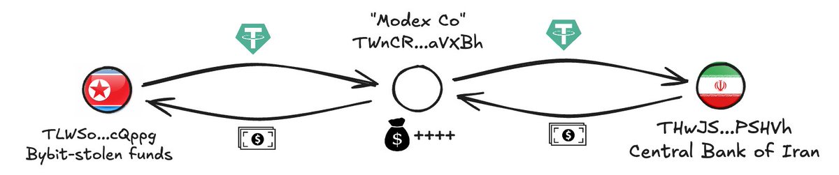 tanuki42 tweet media