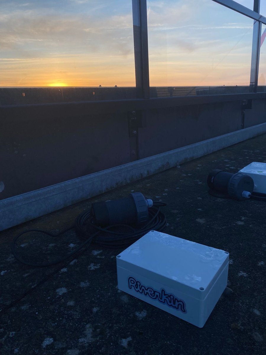 Riverkin tweet media