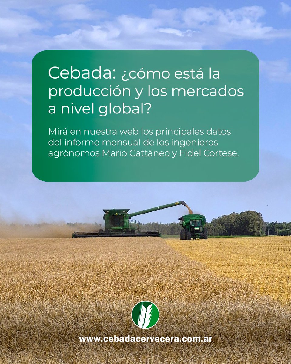 Cebada Cervecera tweet media