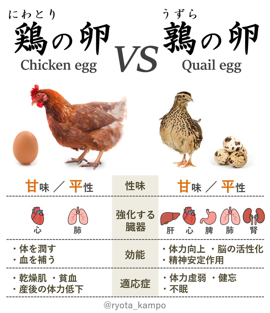 「うずらの卵と鶏卵の違いはサイズと模様だけ」って思ってる人が多いけど実は薬効もかなり違ってて、現代医学ではウズラ卵は黄身の割合が多いとか、ビタミンが鶏卵の数倍とか、それでいてアレルギーを起こしにくいって事が判明してるが、薬膳でもずっと昔から「ウズラ卵は五臓全てを強くする」と言うし