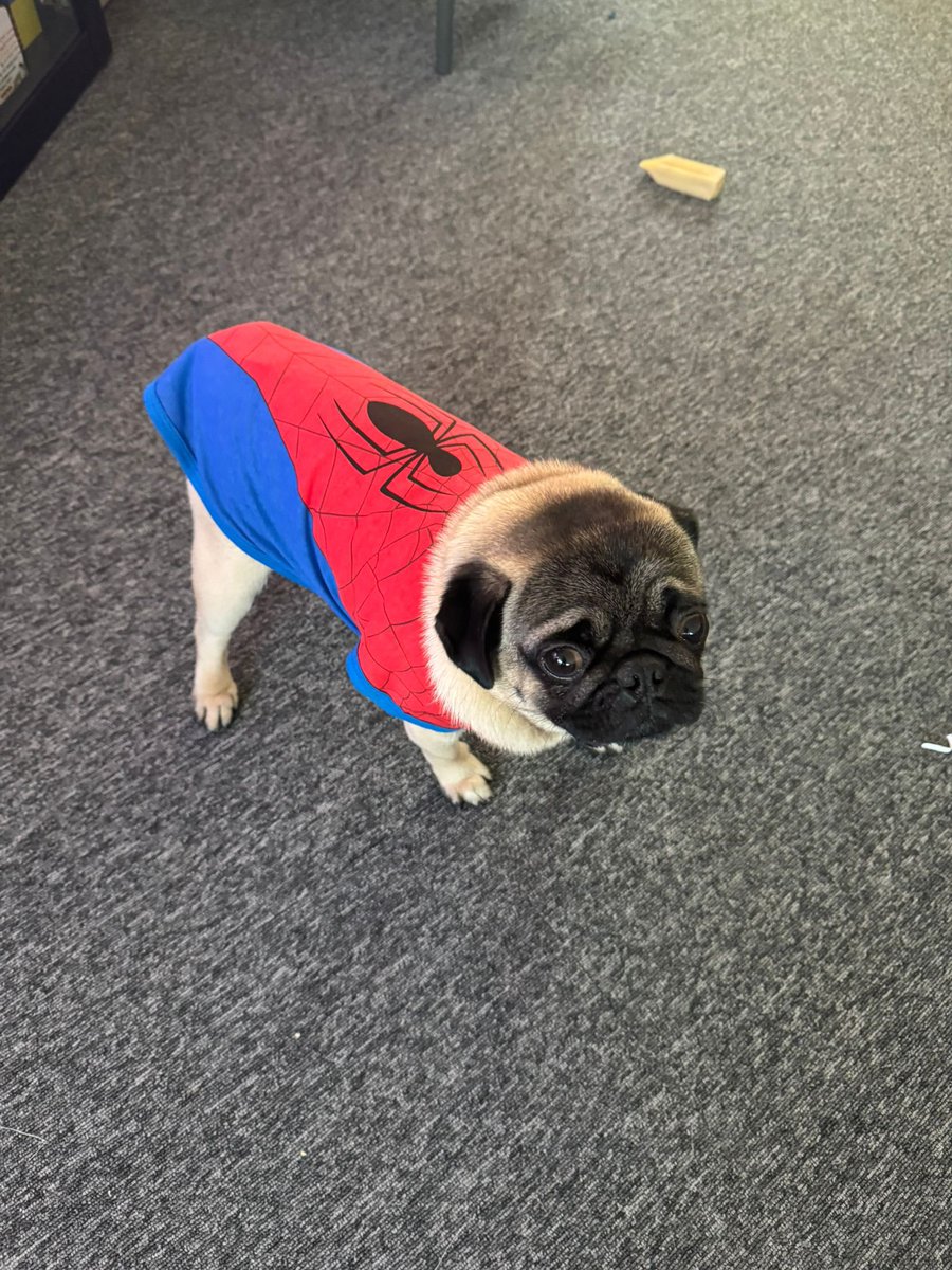 Ninz 🧶 tweet media