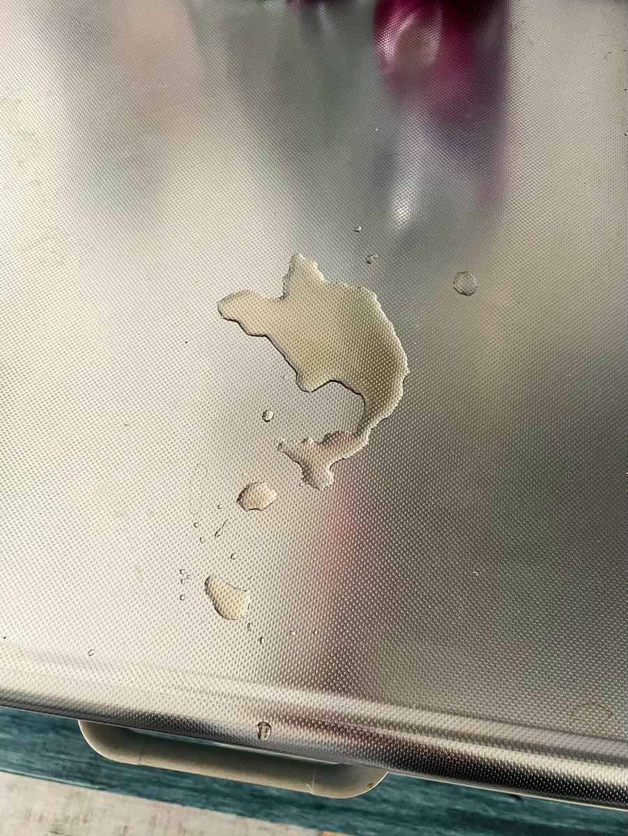 こぼしたお茶がイルカだった🐬と言う事をお知らせしておきます。