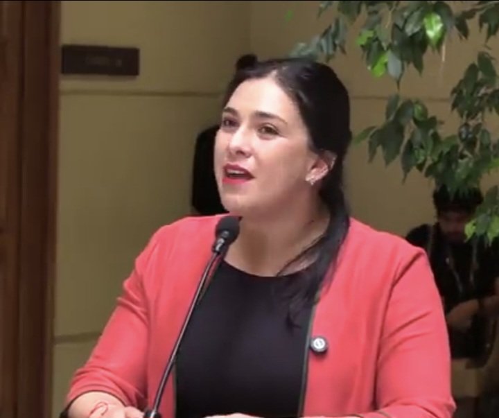 fachininja's tweet image. Karol Cariola , Diputada comunista:

-2025: Imputada en casos de corrupción y tráfico de influencias para beneficiar a un empresario Chino.

-2026: "Lo que vemos en el gabinete de Kast es una clara orientación hacia la defensa de intereses empresariales."…