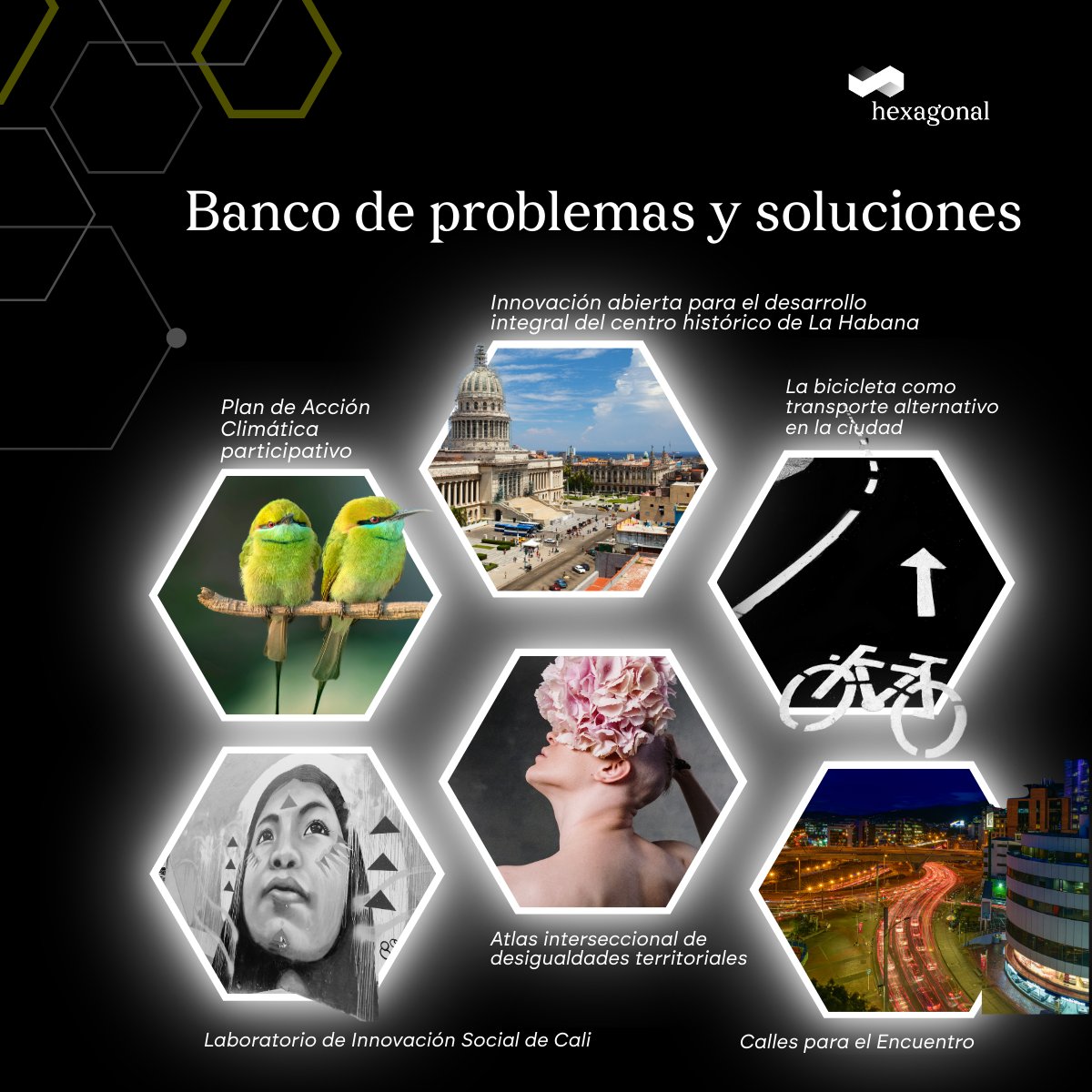 Hexagonal: LAB / Foundation / Consulting tweet media