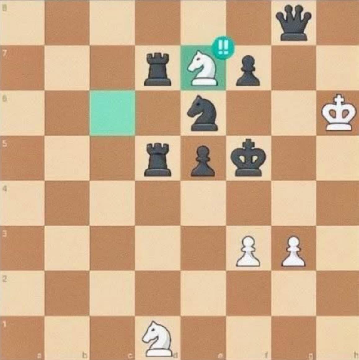 Chess Feed tweet media