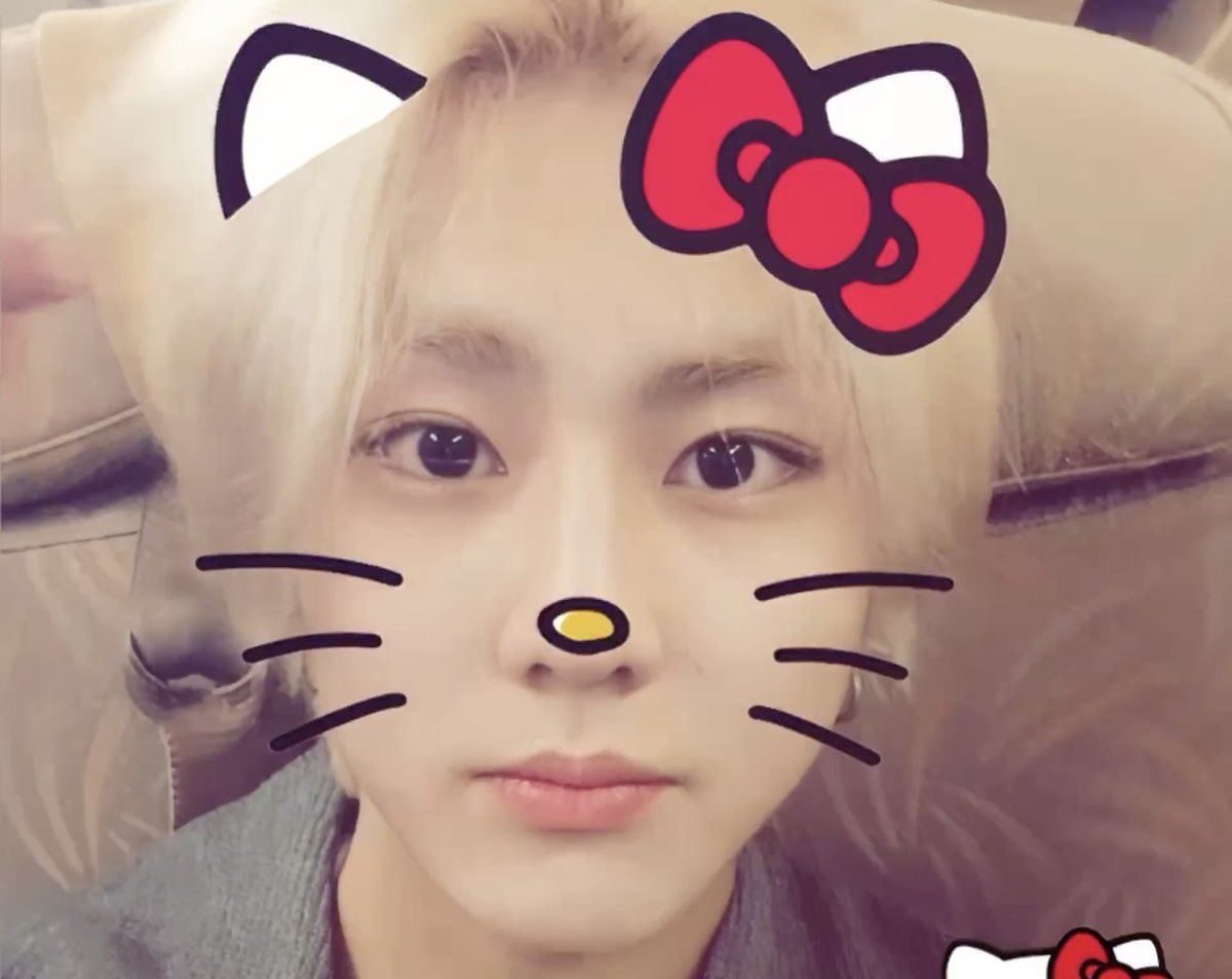 Hunmu02's tweet image. 키티쩡❤️🐱