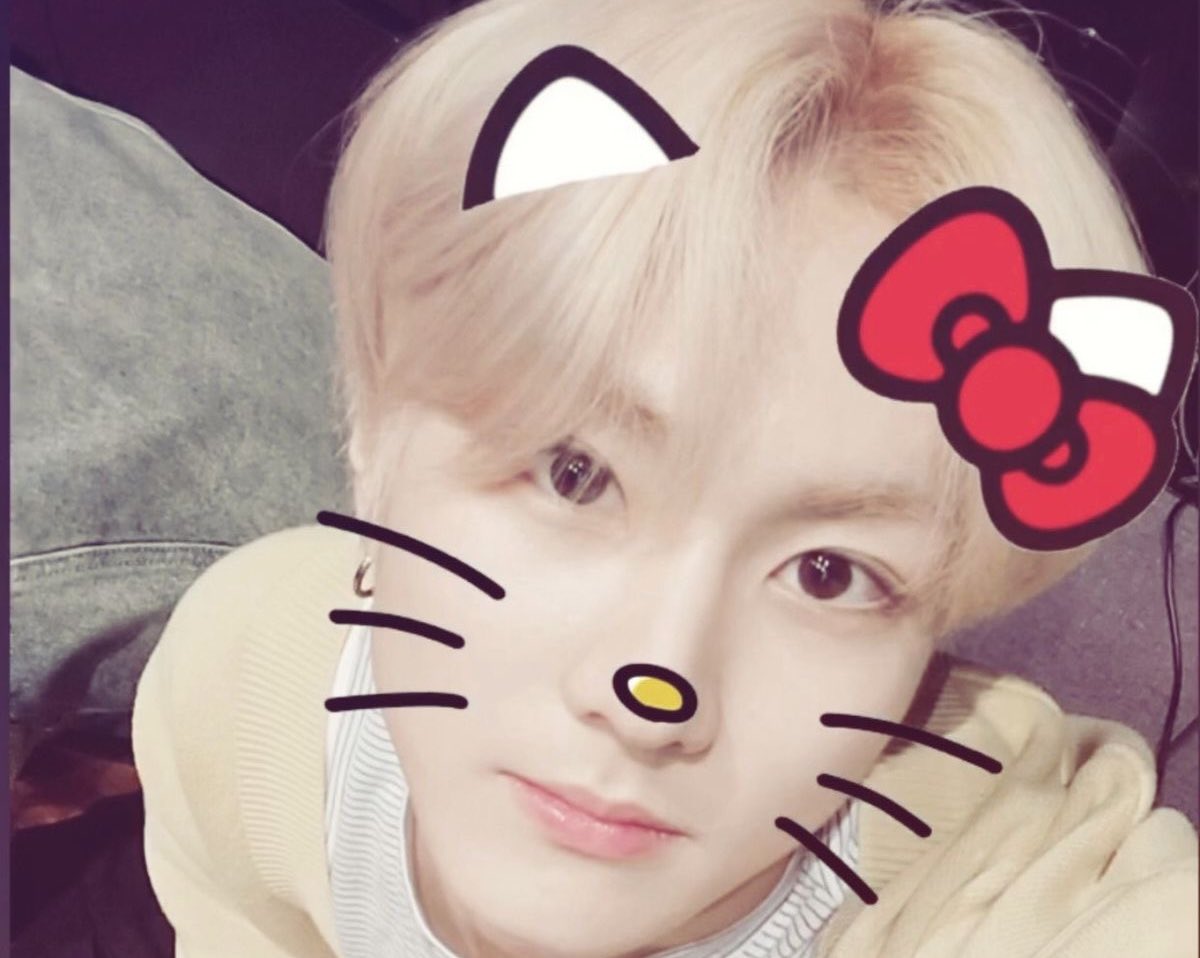 Hunmu02's tweet image. 키티쩡❤️🐱