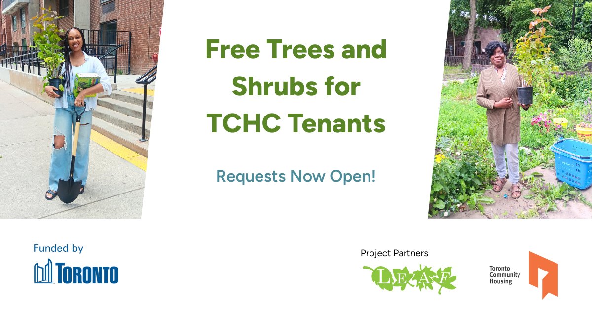 leaf's tweet photo. ๐ณ๐ฟ Help green your #TCHC community with FREE native trees & shrubs through the TCHC Planting & Stewardship Program!
We offer 9 native tree species and 4 native shrubs to plant in yards and communal spaces! ๐ฑ Apply by Sunday, March 29th: https://t.co/3BZUaYFCWp https://t.co/yMH0UNVoWO