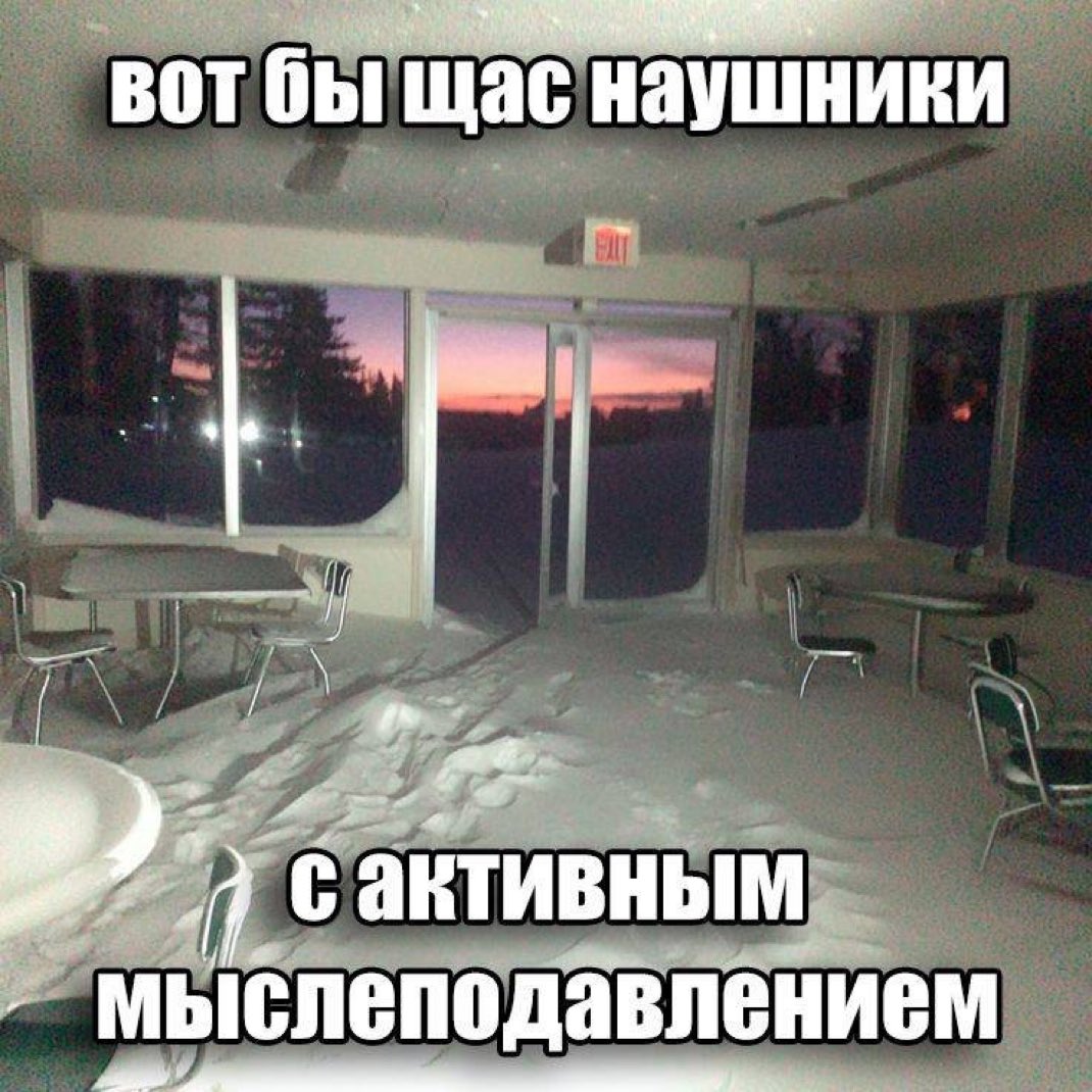 #ИБД tweet media