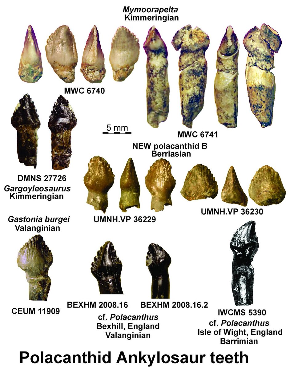 Jim Kirkland tweet media