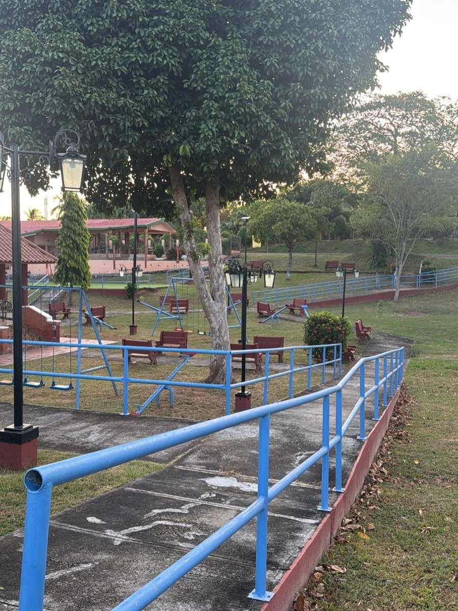Nuestro equipo de mantenimiento continúa trabajando con dedicación en el embellecimiento de los espacios públicos del distrito.
Seguimos construyendo, entre todos, una ciudad más bonita y acogedora. 🌿🏞️