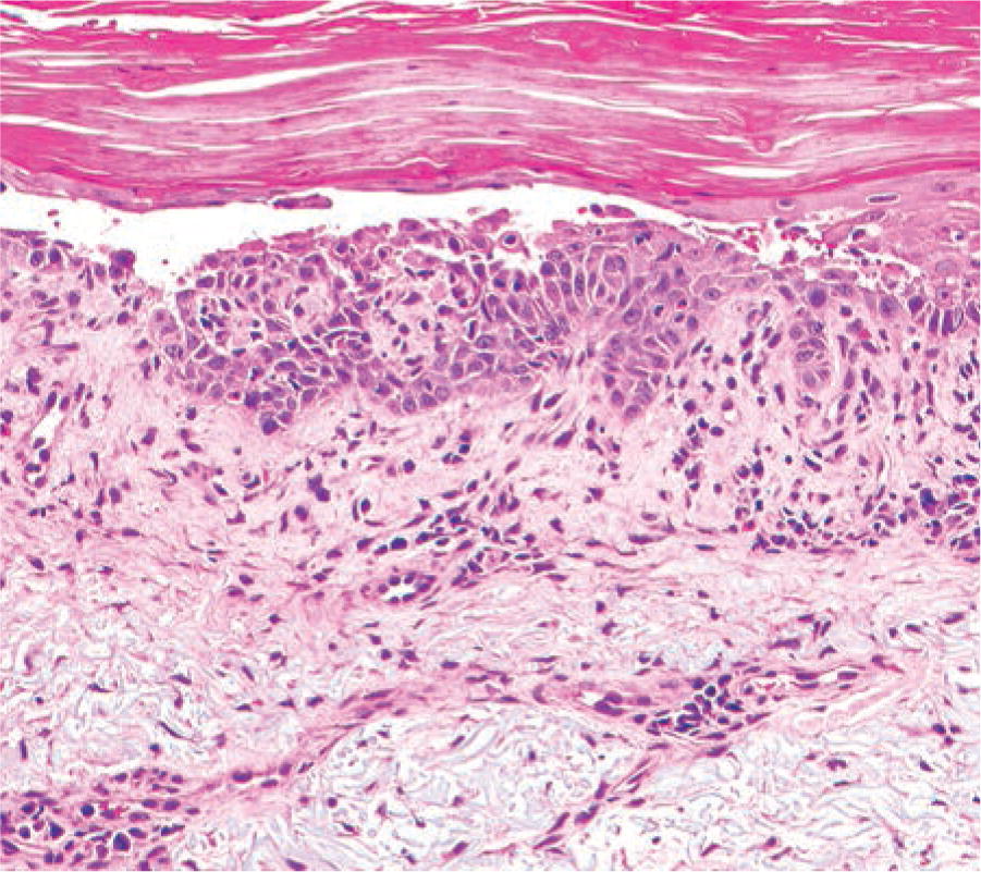 ARP Press tweet media