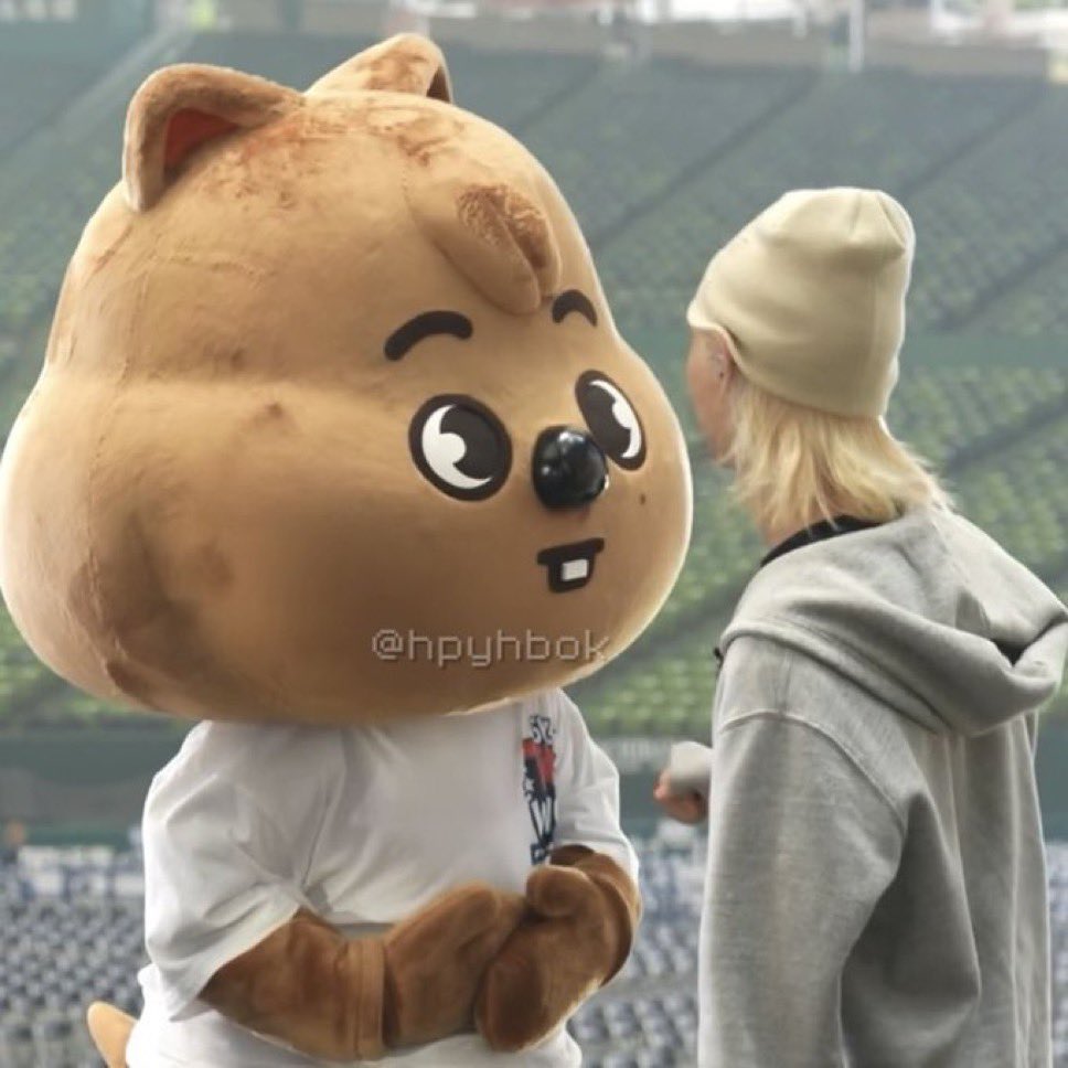 daengnyangism's tweet image. i love this picture so much it’s so silly han quokka looks so silly