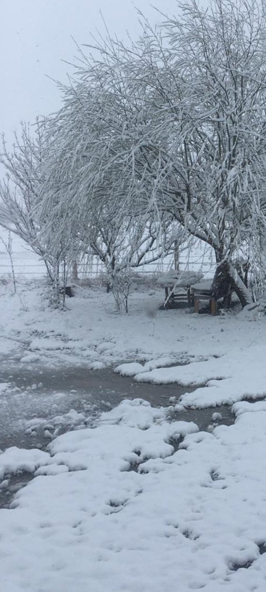 •• Eskidendi, çok eskiden bu dünya daha güzelmiş mesela, 
Bu bulutlar, bu gökyüzü uzanınca dokunacağımız bir yerdeymiş. 

Dün dağlarda dolaştım evde yoktum. 
    İlhan Berk 

       🐦‍⬛

•• Gökte bulut yerde kar 
Seçilmez olmuş dağlar. 
 Hasan Hüseyin Korkmazgil