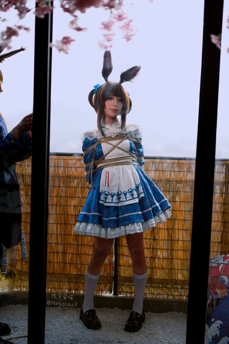 坎宁安喵 tweet media