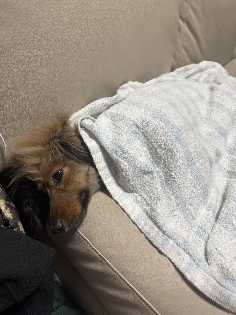 おこげ(大爆発) (@okoge0822) / Posts / X