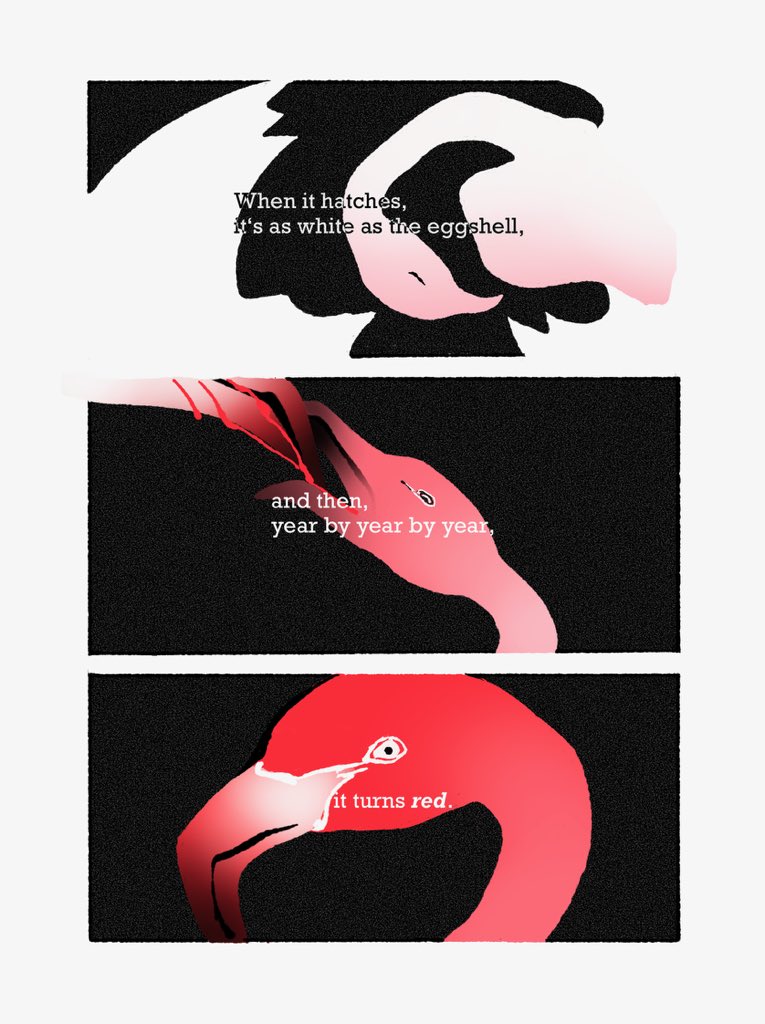 Kanmuhito tweet media