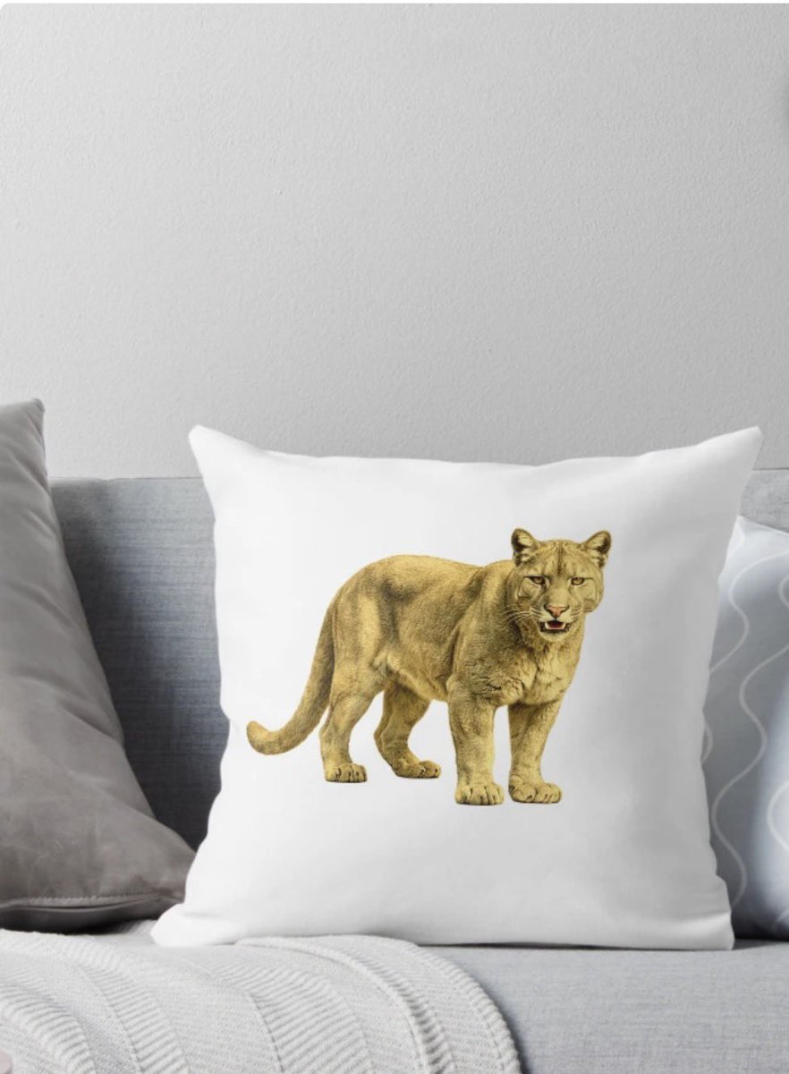 Bx_Bully's tweet photo. #Home #Decor #Pillows #accessories #TalentedBum
https://t.co/gmsm4PIgCy https://t.co/jrkzTBAYFA
