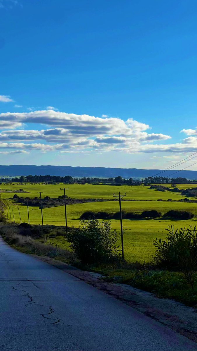 شَمسُ الدّين tweet media