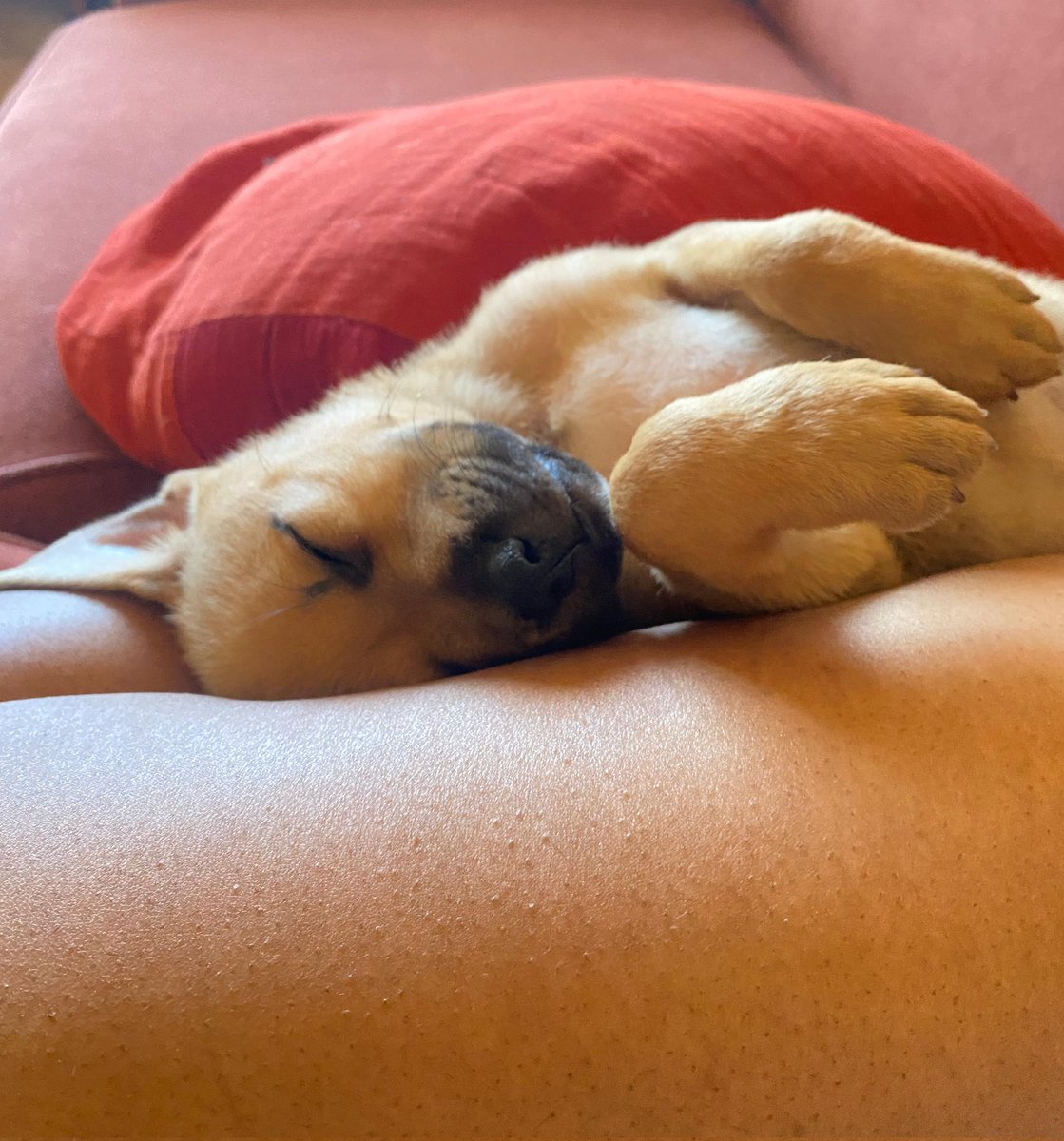 🗿Tracey The Blocked 🏹 tweet media