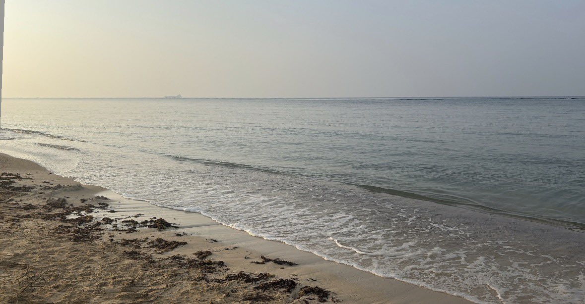 allithD's tweet image. This and absolutely nothing else