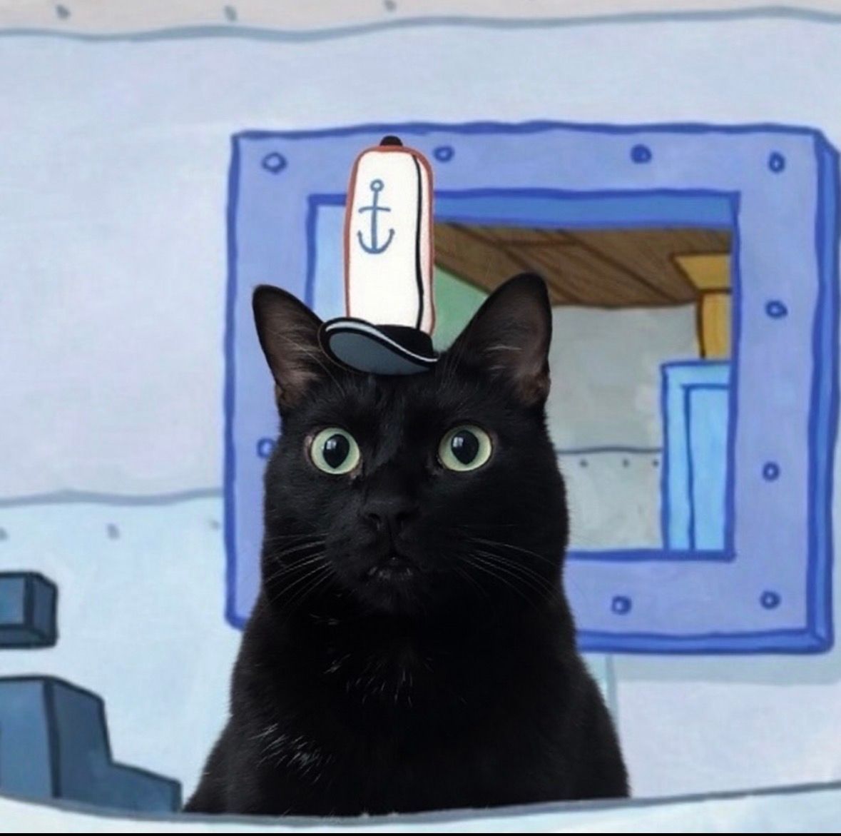 visualscat's tweet image. 