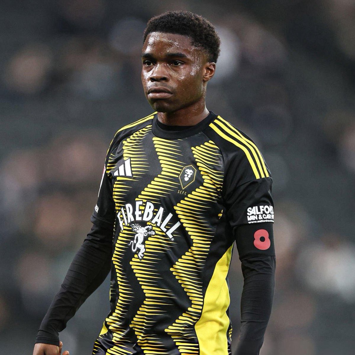 eflpublished tweet media